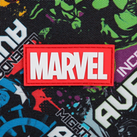 2994421 NECESER ADAP 2C. AVENGERS LEGENDARY