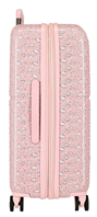 6079541 SET/2 TROLLEY ABS 55-70CM. 4R. MIA ROSA CLARO